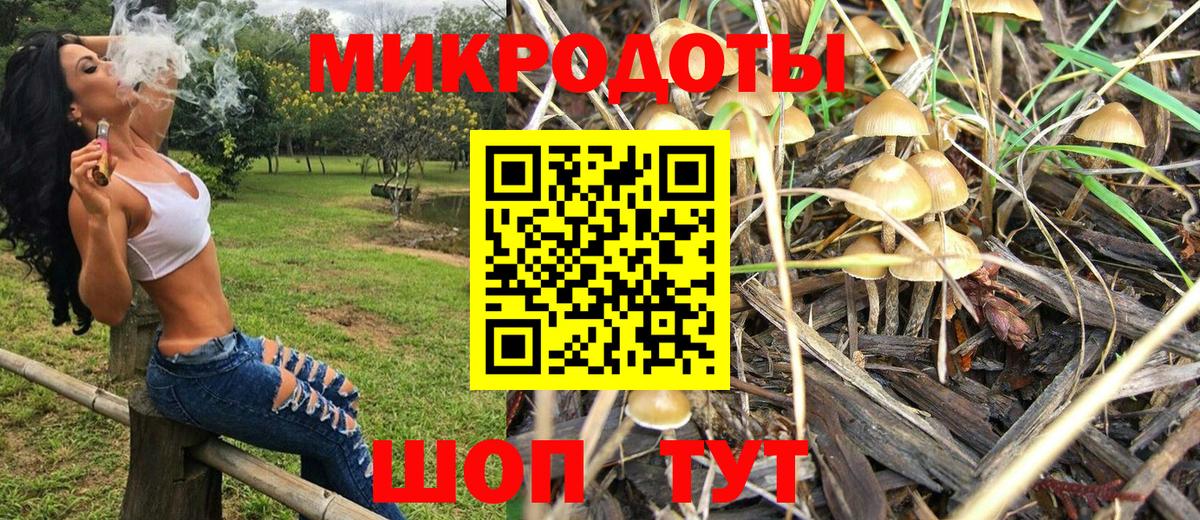 Галлюциногенные грибы мицелий  Галлюциногенные грибы GOLDEN TEACHER  Новый Уренгой  Вход с VPN 