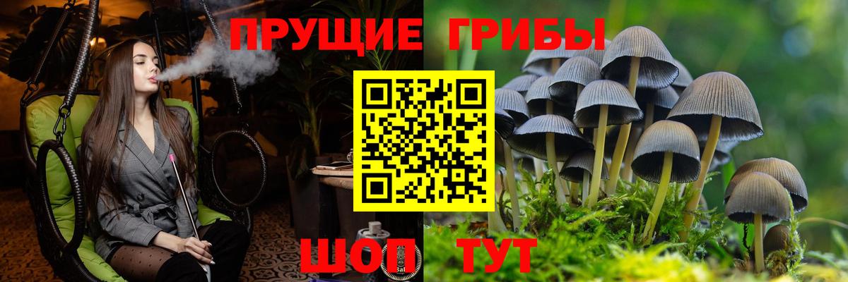 Псилоцибиновые грибы ЛСД Новый Уренгой