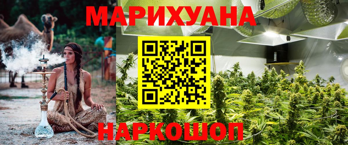 Каннабис Amnesia Новый Уренгой
